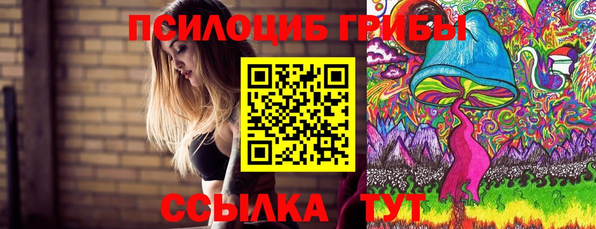 Галлюциногенные грибы GOLDEN TEACHER  Галлюциногенные грибы MAGIC MUSHROOMS  Вход с VPN  Мурманск 