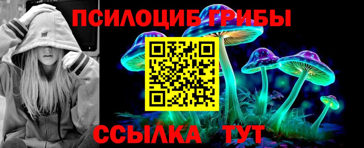 Галлюциногенные грибы прущие грибы Мурманск
